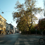 P1030774.JPG